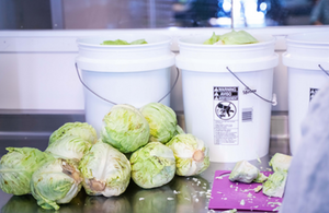 The role of fermentation in preserving food: A history of fermentation as a method of food preservation, and how raw sauerkraut and its probiotic brine fit into this tradition.